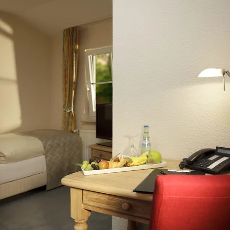 فندق Seegarten 4*