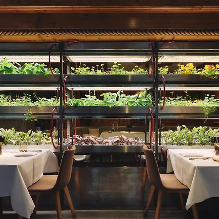Seegarten Отель 4*