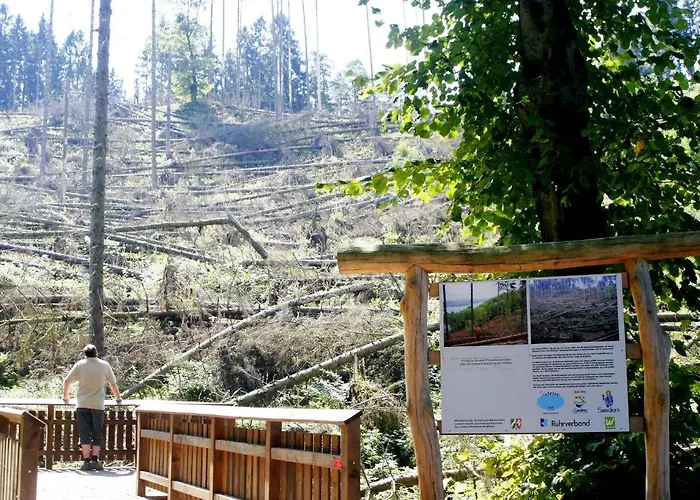 فندق Seegarten زوندرن